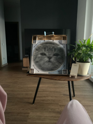 Kundenfoto, Bewertung von EVGENIA
